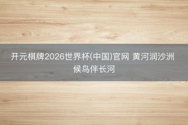 开元棋牌2026世界杯(中国)官网 黄河润沙洲 候鸟伴长河